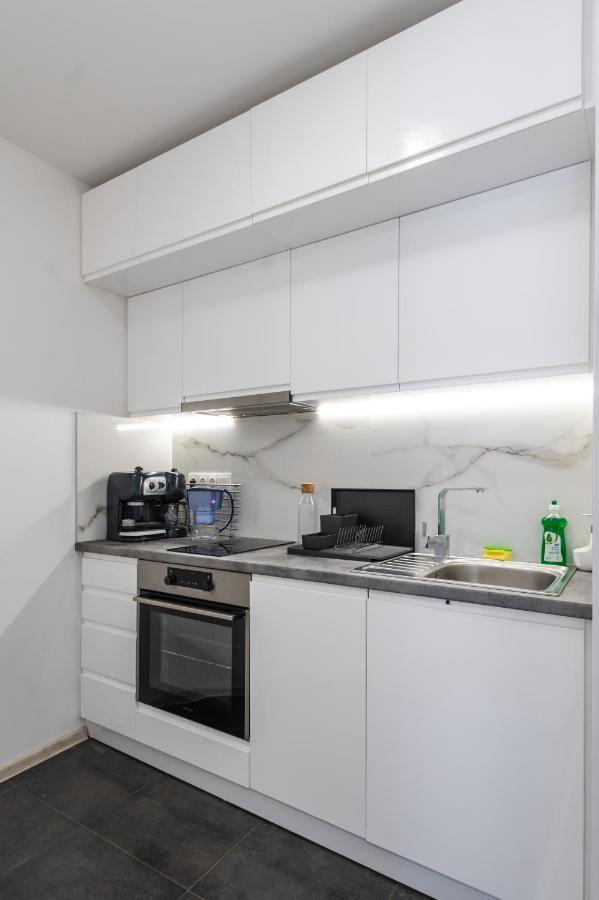 Apartment Cozy And Functional Business One-bedroom